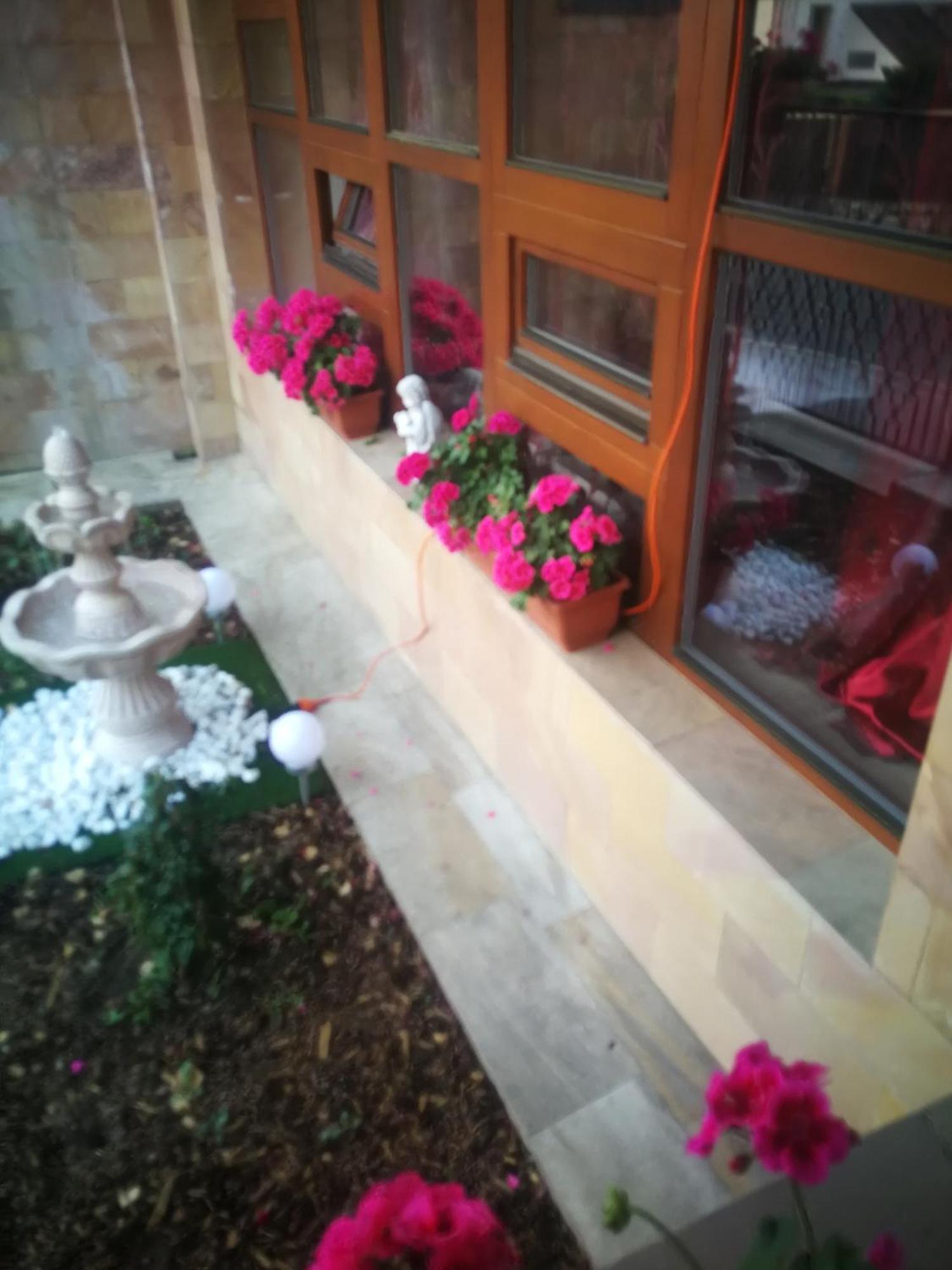 Villa Barrandov Pokoj 3 Praga Exterior foto